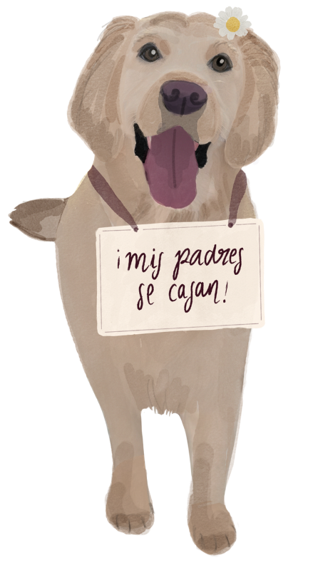 ¡Mis padres se casan!